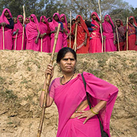 film-pinksaris-poster-film